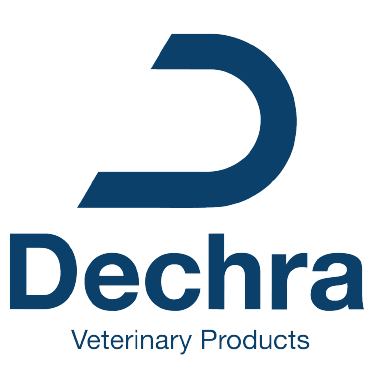 MARCAS PERU_Mesa de trabajo 1 copia 11