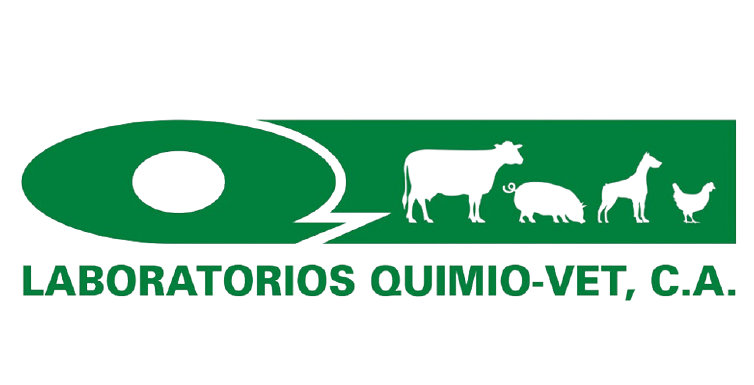 MARCAS PERU_Mesa de trabajo 1 copia 12