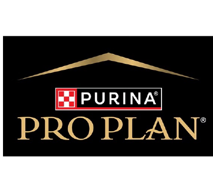 MARCAS PERU_Mesa de trabajo 1 copia 28