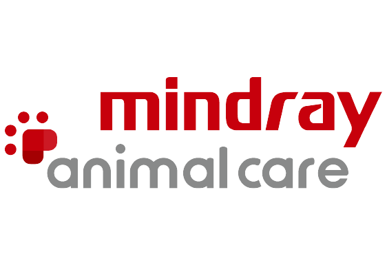 MARCAS PERU_Mesa de trabajo 1 copia 29