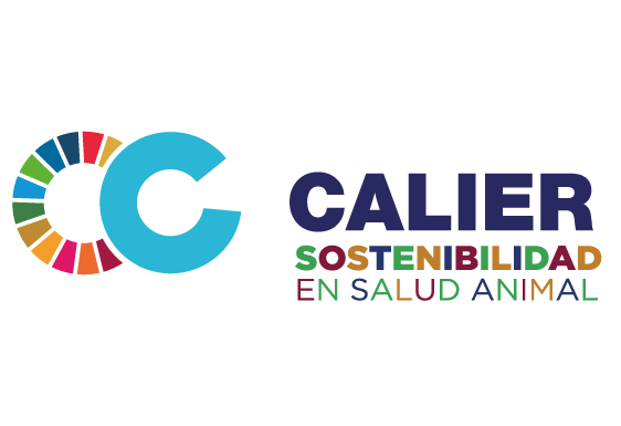 MARCAS PERU_Mesa de trabajo 1 copia 31