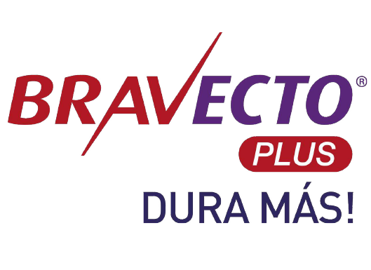 MARCAS PERU_Mesa de trabajo 1 copia 33