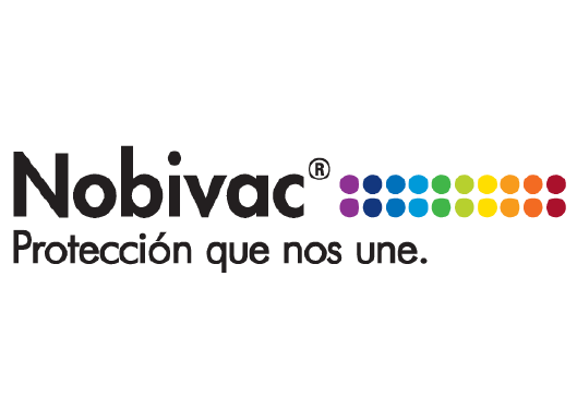 MARCAS PERU_Mesa de trabajo 1 copia 34